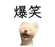 841331878