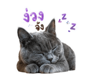 841331942