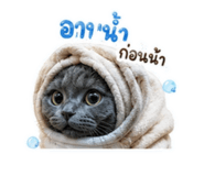 841331947