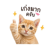 841332000