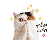 841332036
