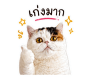 841332044