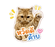 841332450