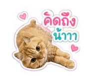 841332456