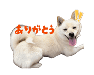841332561
