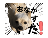 841332568