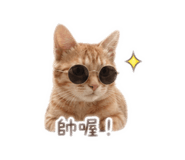 841333030