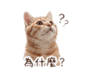 841333037