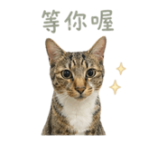 841333042