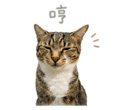 841333048