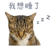 841333056