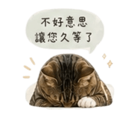 841333178