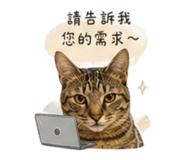 841333181