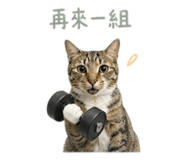 841333196