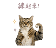 841333203