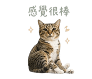 841333208