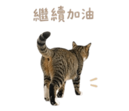 841333209