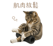 841333216