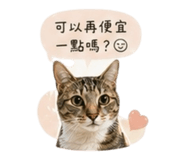 841333255