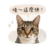 841333263