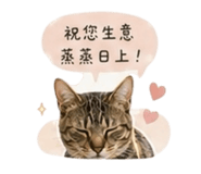 841333270