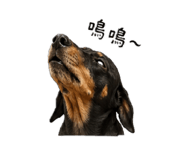 841334372