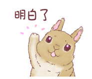 841334398