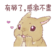 841334416
