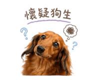 841334524