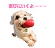 841335458