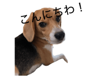 841336612