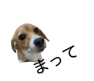 841336615