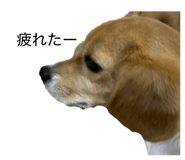 841336620
