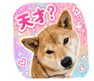 841336650