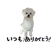 841336989