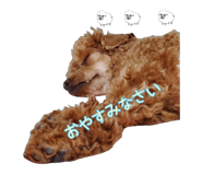 841337161