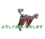 841337171
