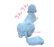 841337175