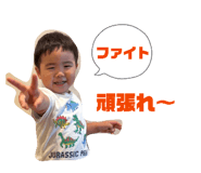 841337294