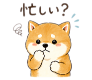 841337911