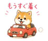 841337914