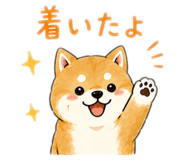 841337915