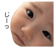 841338117