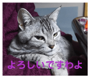 841338225