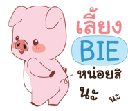 841338668