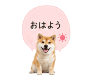 841341817