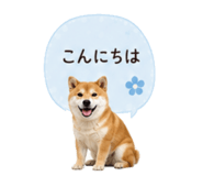 841341818