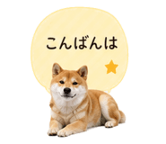 841341819