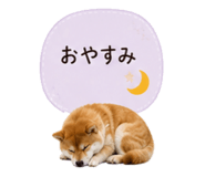 841341820