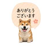 841341824